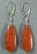 Red, Agatized Dinosaur Bone (Gembone) Earrings #84747-1